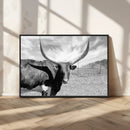 Longhorn Wall Art Canvas Print, Framed Ranch Wall Art Canvas by MyGreatCanvas | Canvas Wall Art Prints | Photo Prints & Wall Decor