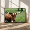 Longhorn Cow Animal Wall Art Canvas Print by MyGreatCanvas | Canvas Wall Art Prints | Photo Prints & Wall Decor