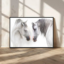 White Horse Wall Art Animal Canvas Print by MyGreatCanvas | Canvas Wall Art Prints | Photo Prints & Wall Decor