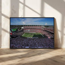 South Carolina Gamecocks Football Team Print - Columbia