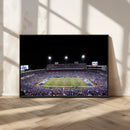 Buffalo Bills Wall Art - Buffalo Bills Stadium Canvas Print,