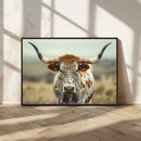 Texas Cow Longhorn Wall Art Canvas Print for Farm House Wall