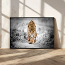 Jaguar Wall Art Canvas Print - Majestic Big Cat in Focused by MyGreatCanvas | Canvas Wall Art Prints | Photo Prints & Wall Decor