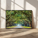 Wormsloe State Plantation Driveway Wall Art Canvas Print by MyGreatCanvas | Canvas Wall Art Prints | Photo Prints & Wall Decor