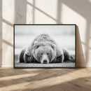 Resting Grizzly Bear Wall Art Canvas Print – Majestic Lazy by MyGreatCanvas | Canvas Wall Art Prints | Photo Prints & Wall Decor