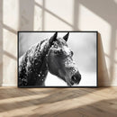 Horse Canvas Print - Winter Horse Snow Wall Art Canvas Print