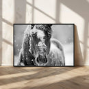 Black and White Horse Winter Wall Art | Ready to Hang and