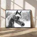 Black Horse Winter Wall Art | Ready to Hang and Framed |