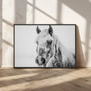 White Horse Wall Art | Ready to Hang and Framed | Winter