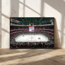 Honda Center California Anaheim Ducks Ice Hockey Stadium