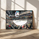 Xcel Energy Center St Paul Minnesota Wild Ice Hockey Stadium