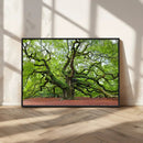 Framed Angel Oak Tree Wall Art - 3-Panel Canvas Prints,