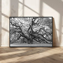 Black White Angel Oak Tree Wall Art - Timeless