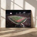 Houston Cougars Football Team Print - Houston TDECU Stadium