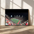 Houston Cougars Football Team Print - Houston TDECU Stadium