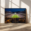 Pittsburgh Panthers Football Team Print - Pittsburgh