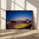 Wolfpack Football Team Wall Art Print - Raleigh