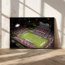 Florida Atlantic University Owls Canvas Print, Football Team by MyGreatCanvas | Canvas Wall Art Prints | Photo Prints & Wall Decor