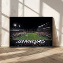 Cincinnati Bearcats Football Team Print - Nippert Stadium