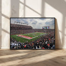 Rutgers Scarlet Knights Football Team Print - SHI Stadium,