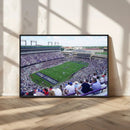 The Texas Christian University TCU Horned Frogs Football