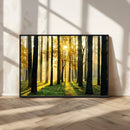 Sunlit Forest Wall Art Canvas Print – Large Framed Woodland
