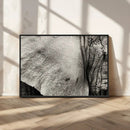 Elephant Wall Art Canvas Print