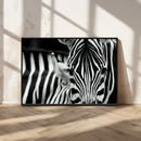 Zebra Wall Art – Zebra Close Up Wall Art – Framed Black by MyGreatCanvas | Canvas Wall Art Prints | Photo Prints & Wall Decor