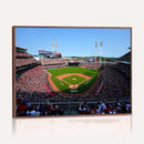 Cincinnati Reds Baseball Canvas Print - American Ball
