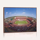 William Brice Stadium Wall Art Canvas Print – Stadium Crowd