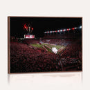 William Brice Stadium Wall Art Print – Baseball Game Room