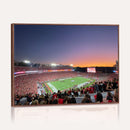 Dooley Stadium Wall Art, Sports Arena Canvas Print, Dooley