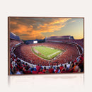 Dooley Stadium Wall Art, Sports Arena Canvas Print, Dooley
