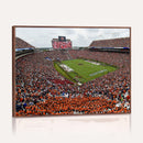 Jordan-Hare Stadium Wall Art Canvas Print, College Sports