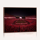 Sanford Stadium Wall Art Canvas Print – Georgia Bulldogs