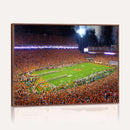 Clemson Football Stadium Wall Art Canvas Print, College