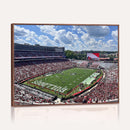 Georgia Bulldogs Stadium Wall Art Canvas Print, Sanford