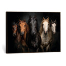 Horse Wall Art Canvas Print, Wild Horses Portrait Photography, Dramatic Equestrian Decor, Black Brown White Horse Herd, Rustic Ranch Art