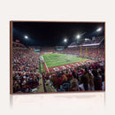 Mississippi State Bulldogs Stadium Wall Art Canvas Print –