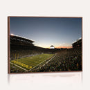 Oregon Ducks Football Team Print - Eugene Autzen Stadium