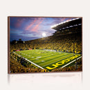 University of Oregon Ducks Football Team Print - Eugene