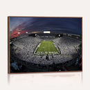 Penn State University Nittany Lions Football Team Print -