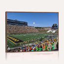 University of Missouri Tigers Football Team Print - Columbia