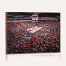 Louisville Cardinals Basketball Print Canvas - Louisville