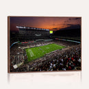 Texas A&M University Aggies Football Team Print - College