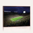 Michigan Wolverines Football Canvas Wall Decor, Football