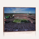 South Carolina Gamecocks Football Team Print - Columbia