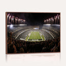Eagles Field Stadium Wall Art - Philadelphia Eagles Football