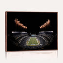 Eagles Field Stadium Wall Art | Philadelphia Eagles Football