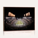 Eagles Field Stadium Wall Art - Lincoln Financial Field
